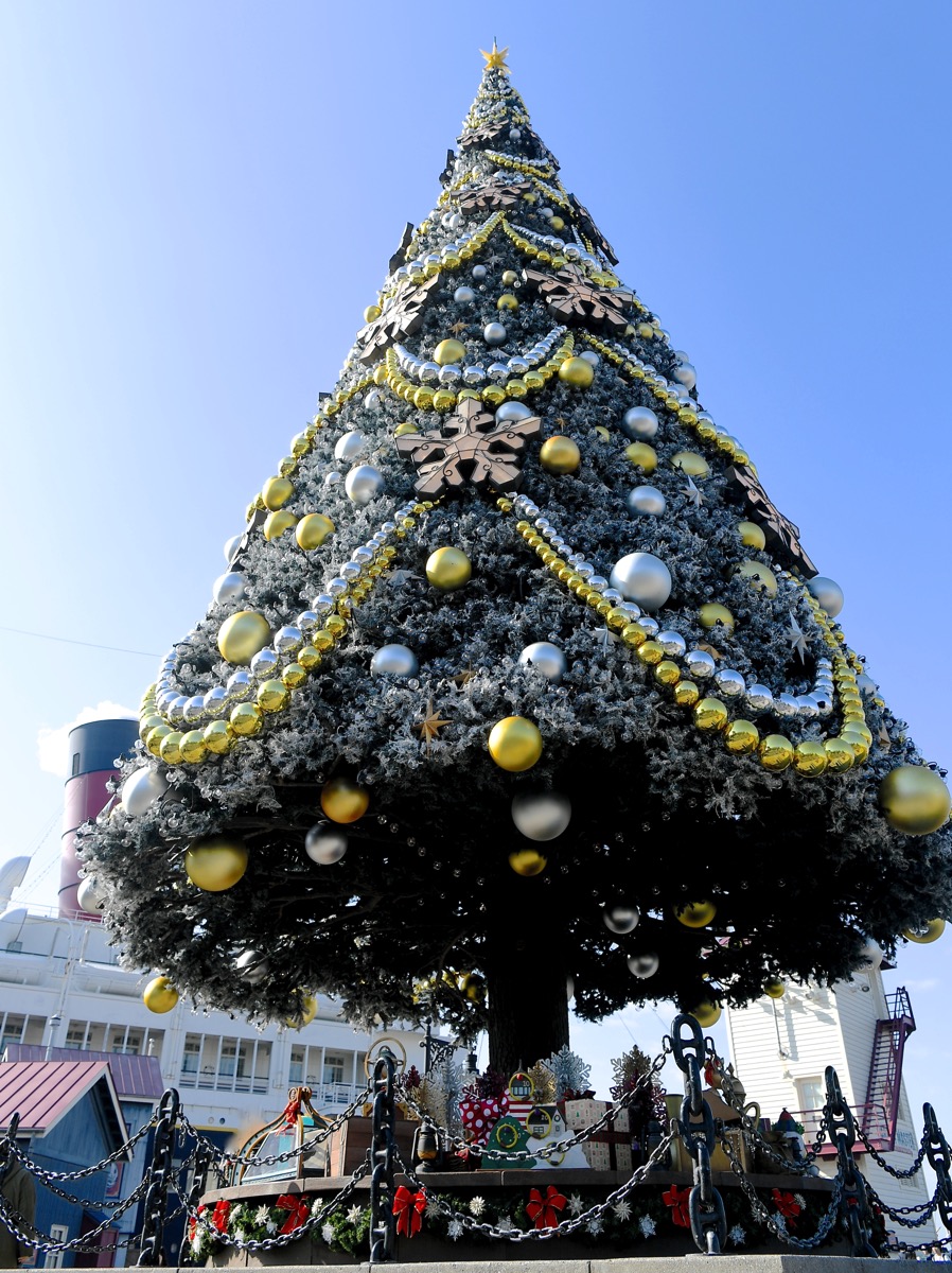 アメリカンウォーターフロント　巨大クリスマスツリー