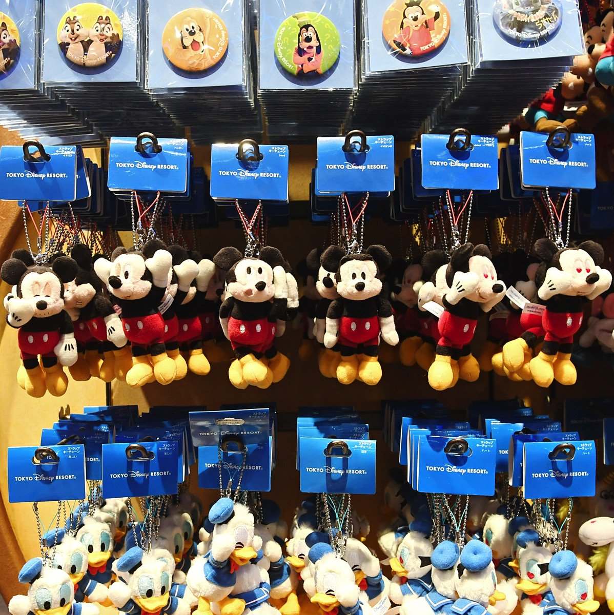 お誕生日をお祝い！東京ディズニーランド“ミッキーマウス”スクリーン