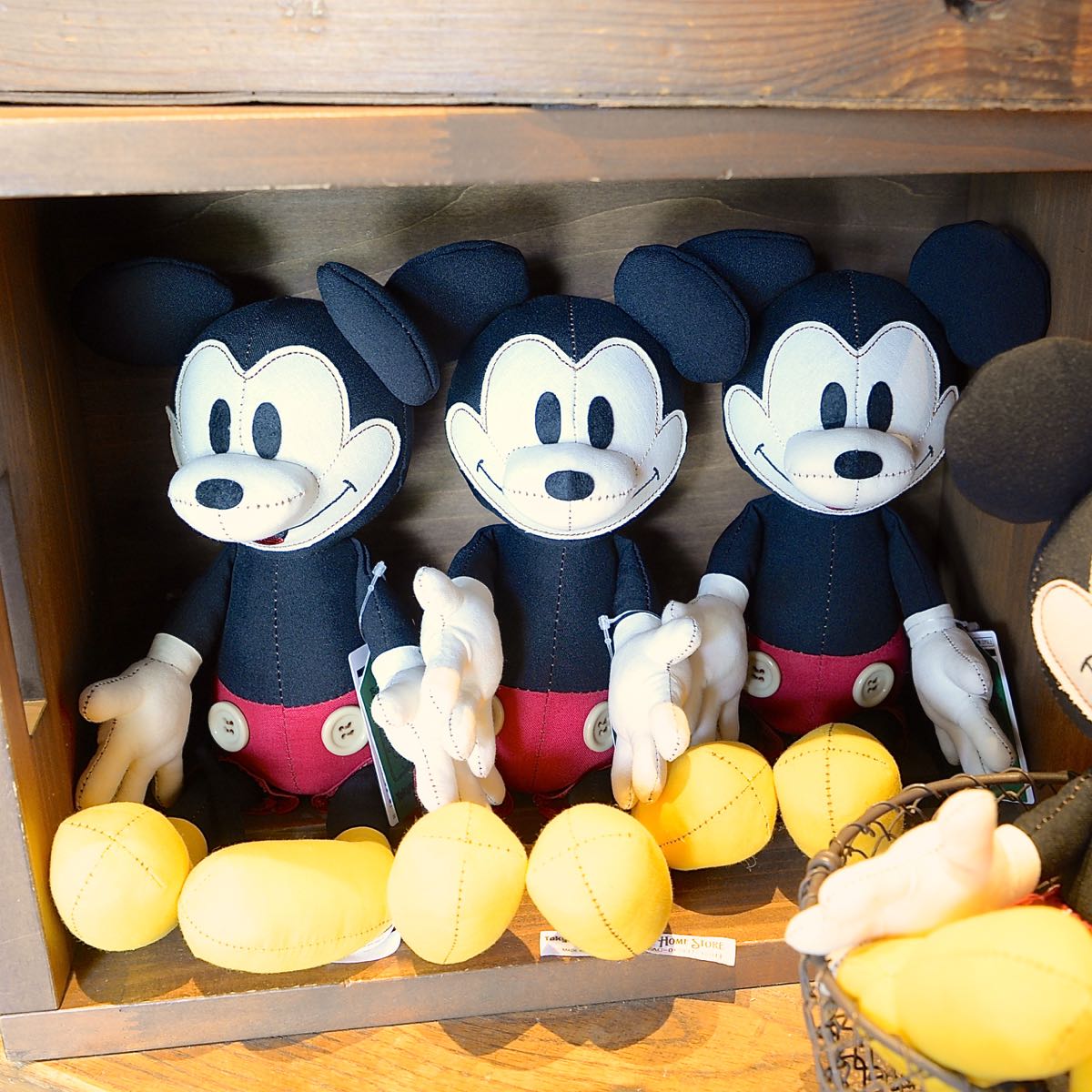 Tokyo Disney Land Home Store Collection 14