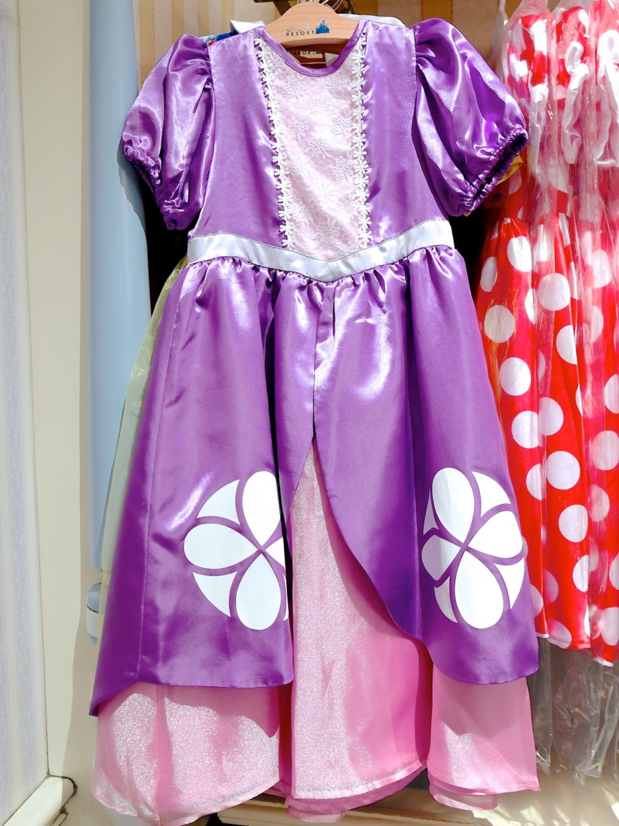 気軽にディズニープリンセスになりきり！東京ディズニーランド ドレス