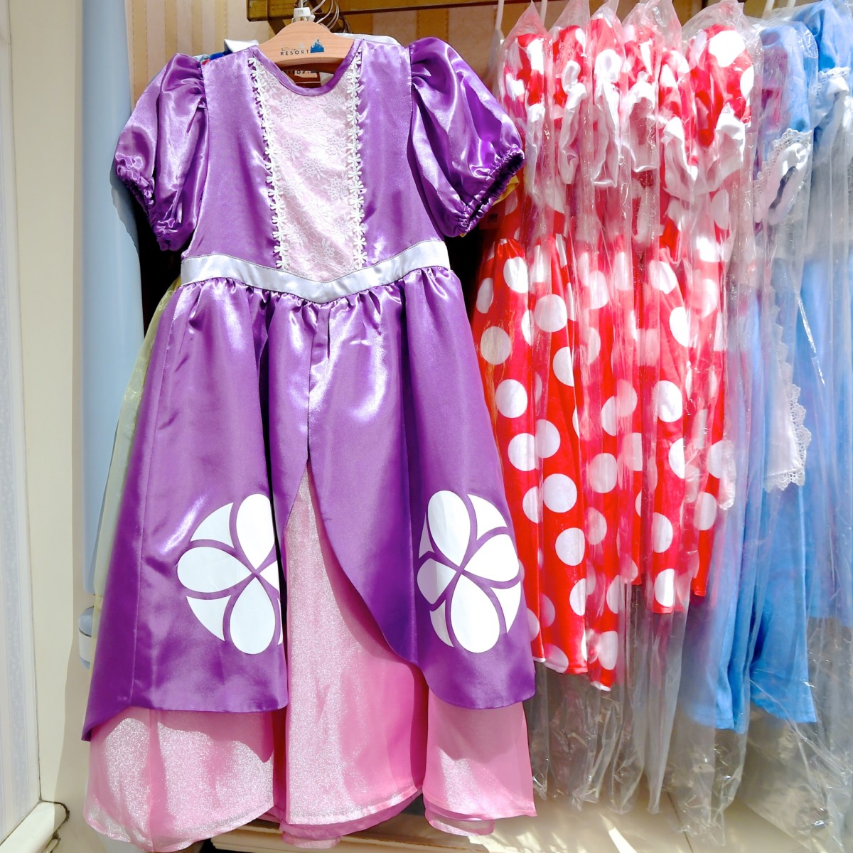 気軽にディズニープリンセスになりきり！東京ディズニーランド ドレス 