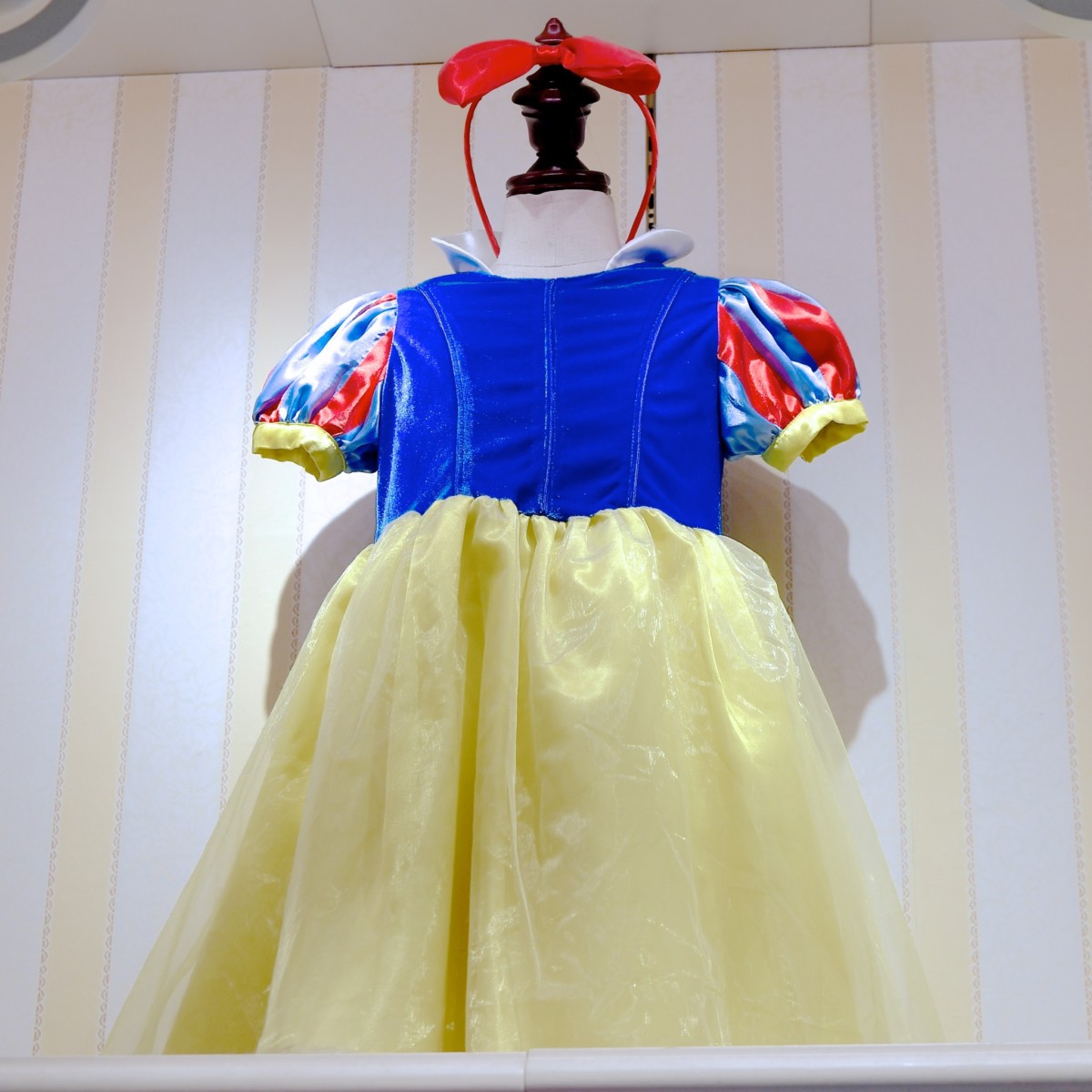 気軽にディズニープリンセスになりきり！東京ディズニーランド ドレス 