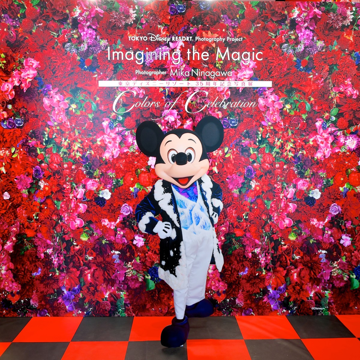 蜷川実花さんの色鮮やかな世界！東京ディズニーリゾート『イマジニング・ザ・マジック』写真展『Colors of Celebration』