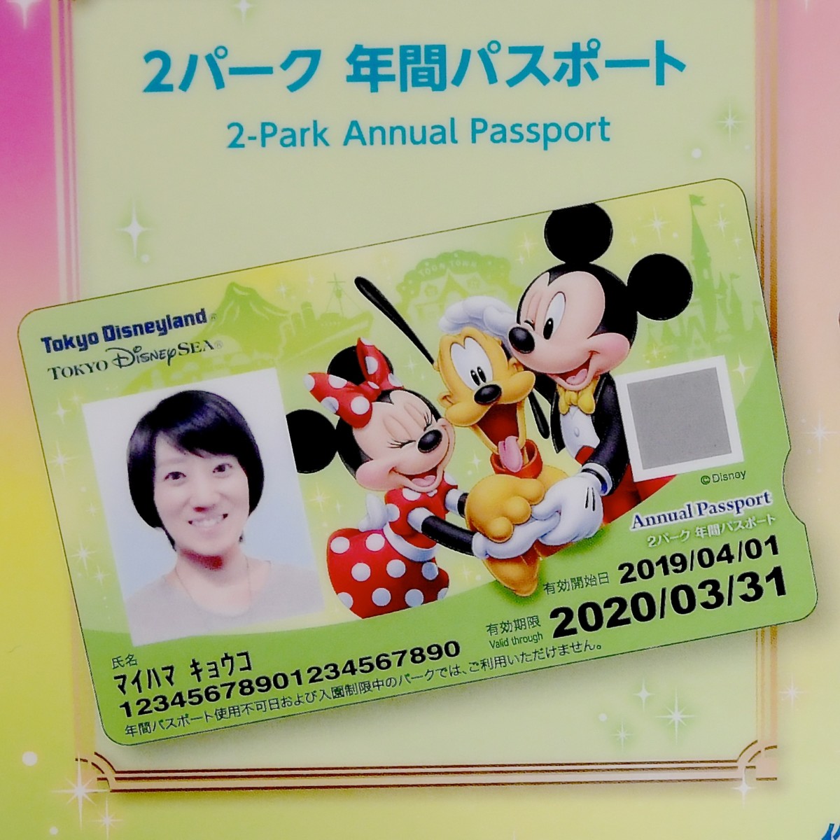 19年はイラストデザイン 東京ディズニーリゾート年間パスポート