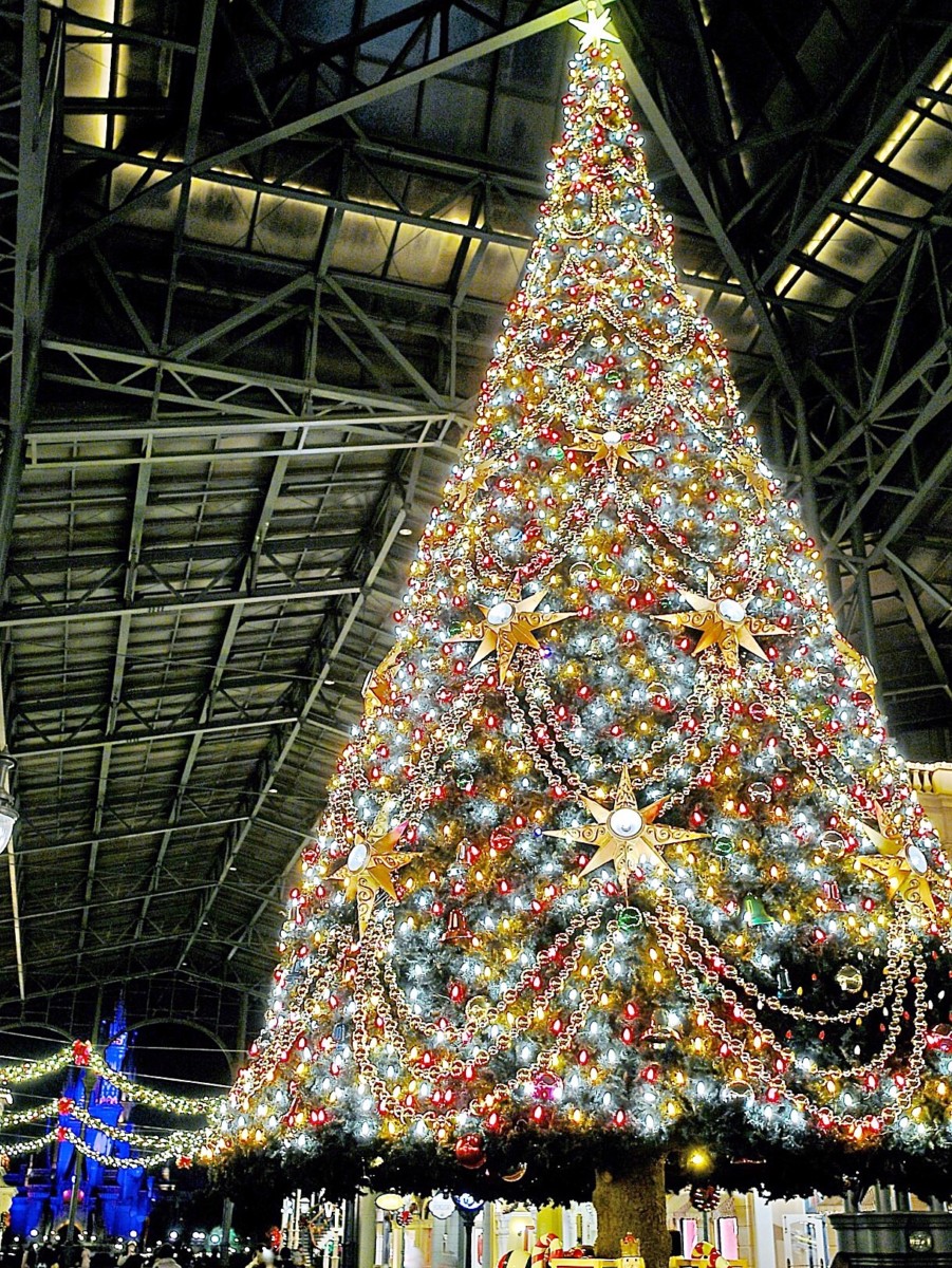 巨大クリスマスツリーの演出も 東京ディズニーランド ディズニー クリスマス19