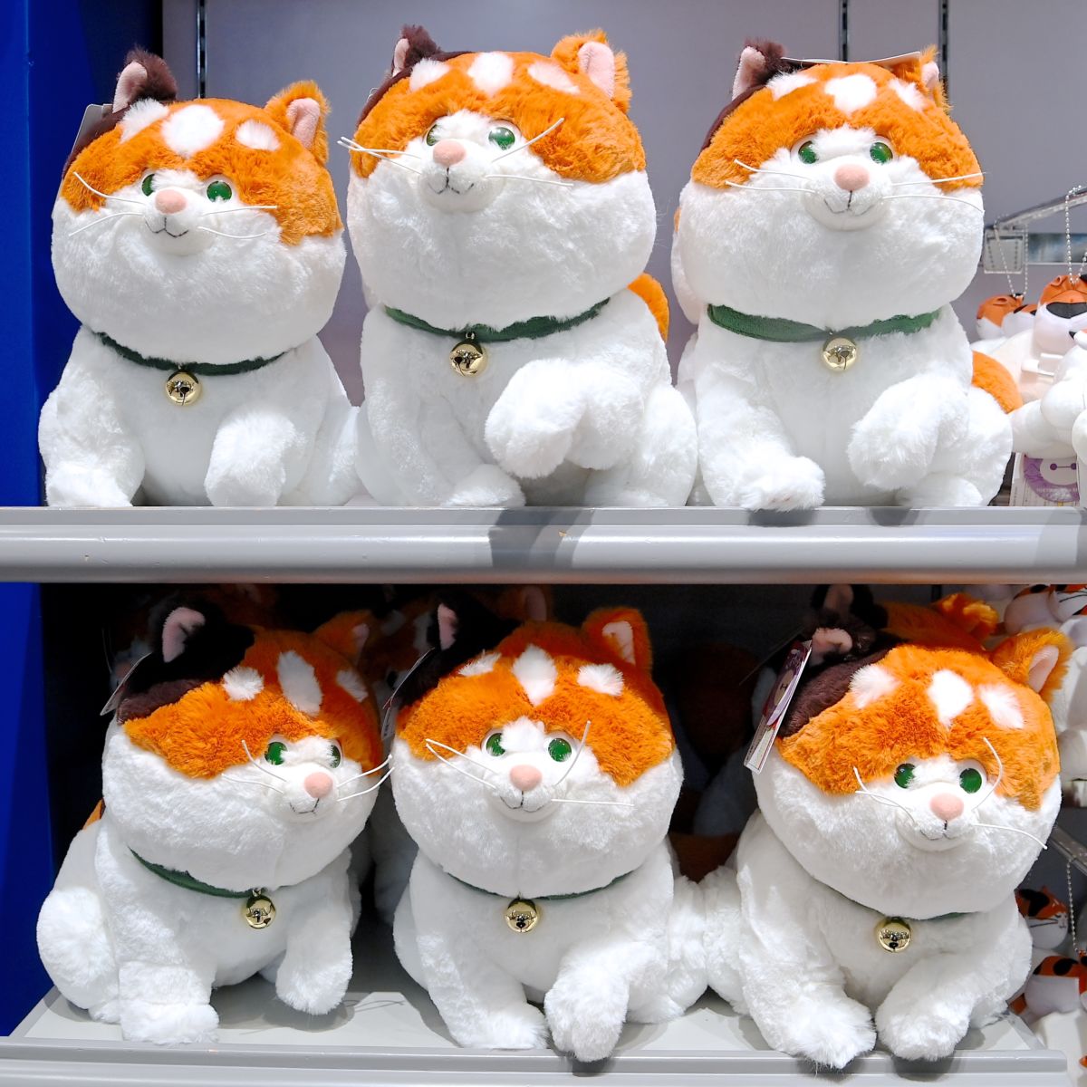 三毛猫のモチも 東京ディズニーランド 和をテーマにした ベイマックス スペシャルグッズ