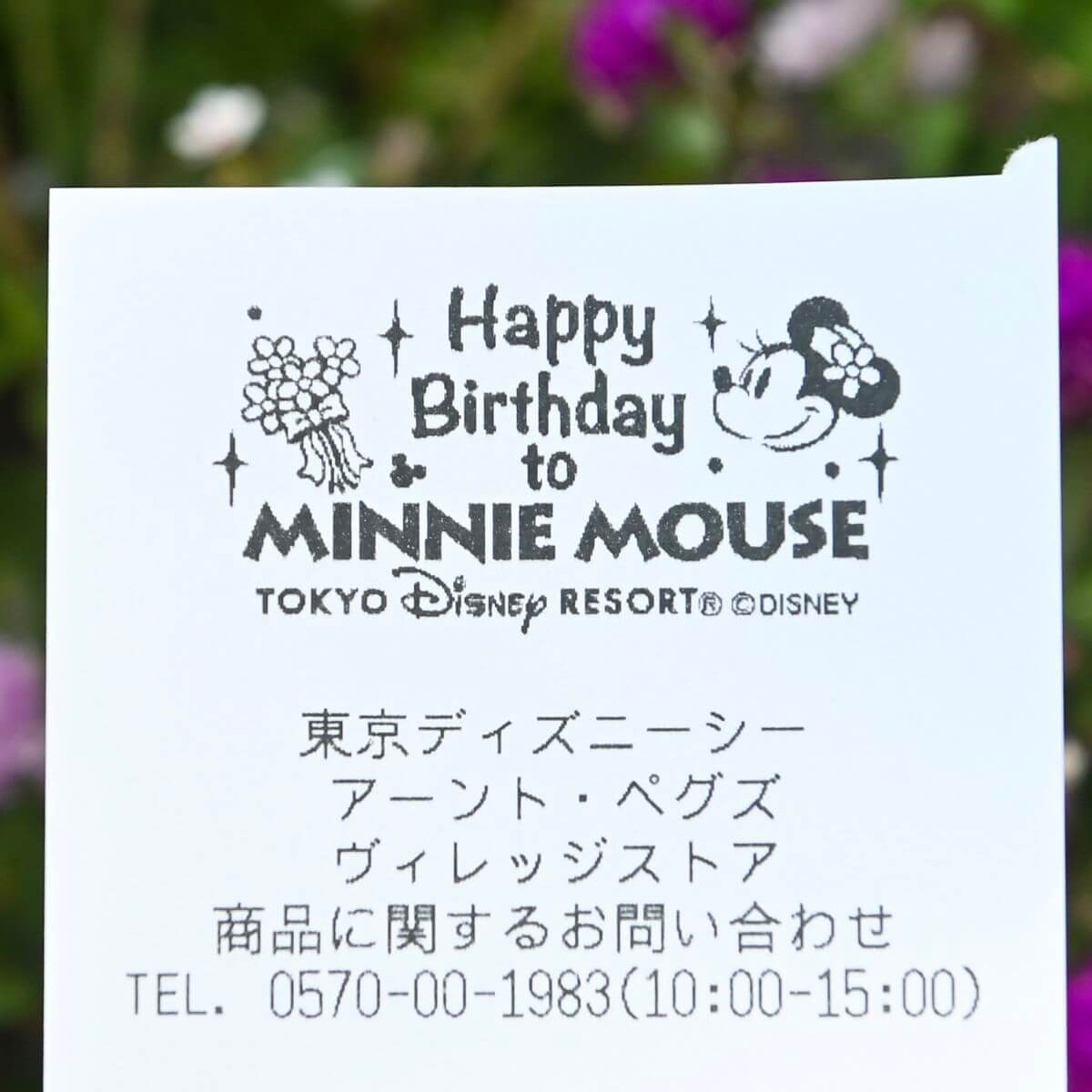 ミッキーとミニーが誕生日をお祝い 東京ディズニーランド11月限定レシート