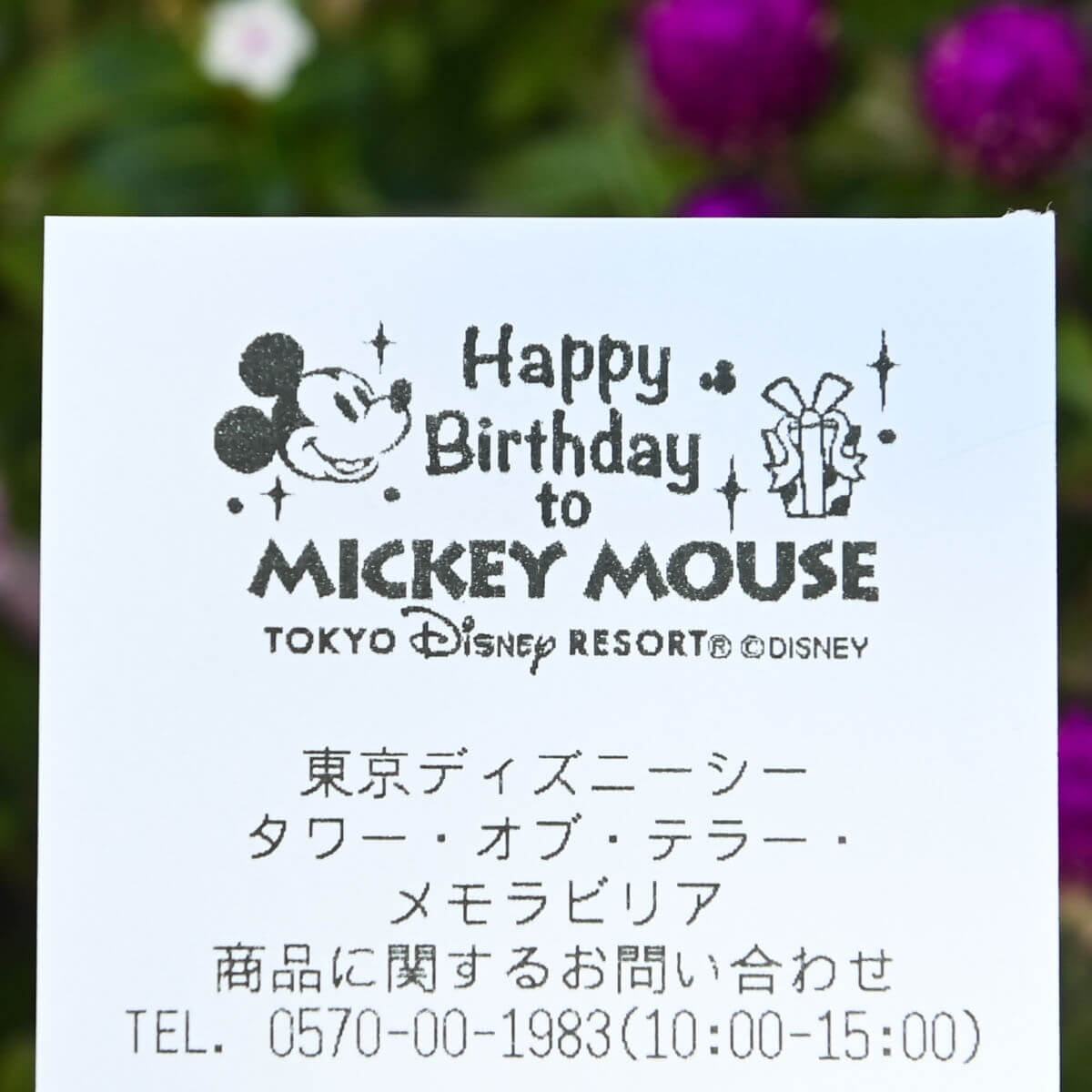 ミッキーとミニーが誕生日をお祝い 東京ディズニーランド11月限定レシート