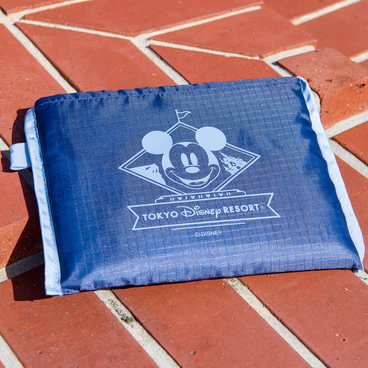 東京ディズニーランド ショッピングバッグ サイズ比較