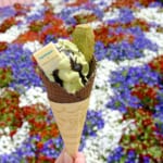 アイスクリームコーン「Sadaharu AOKI paris」スペシャルソフトクリーム(抹茶&チョコ)1
