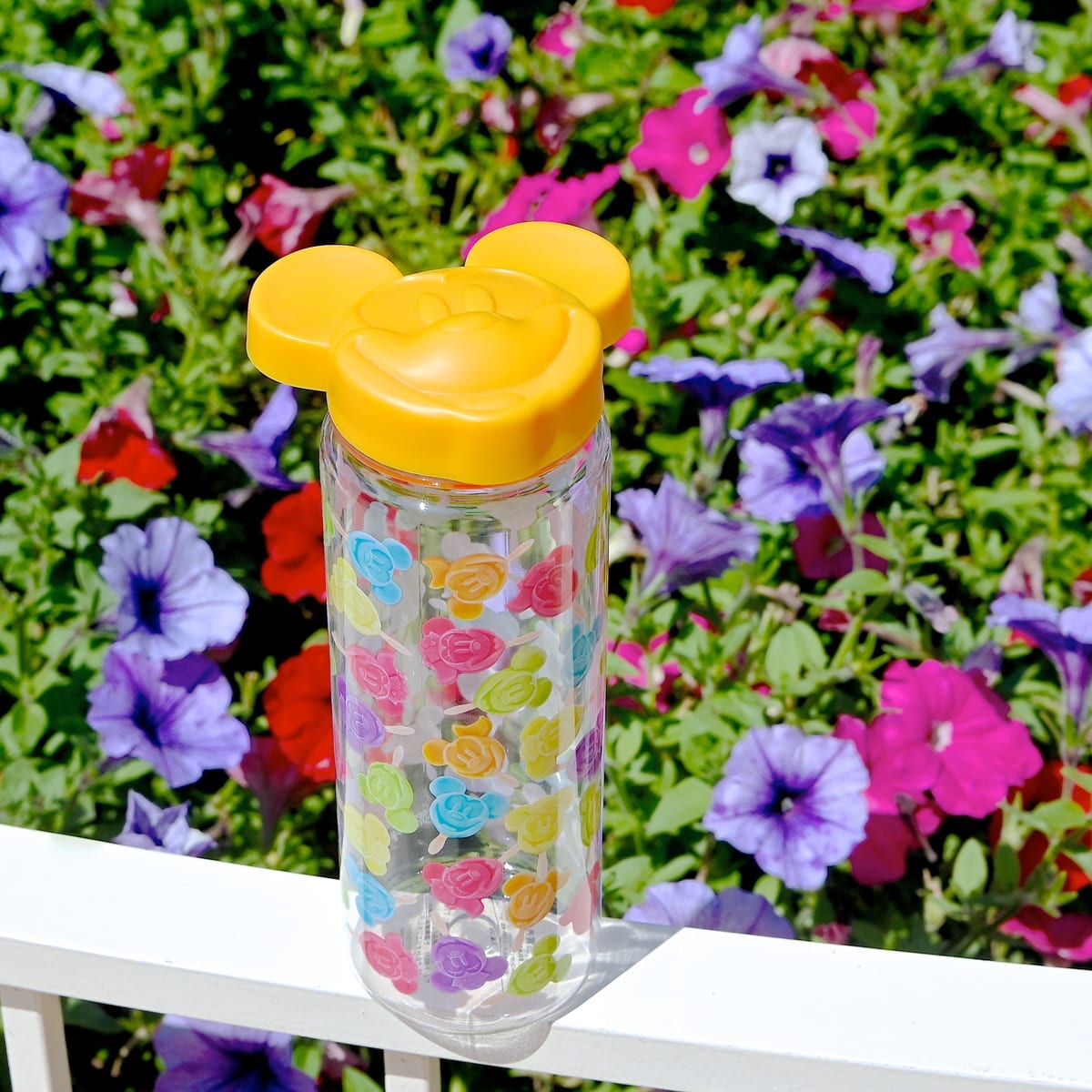 東京ディズニーランド「ミッキーアイスバー」スーベニアドリンクボトル1