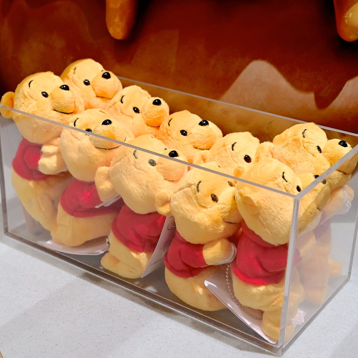 東京ディズニーランド　くまのプーさんくっつきぬいぐるみ・お土産