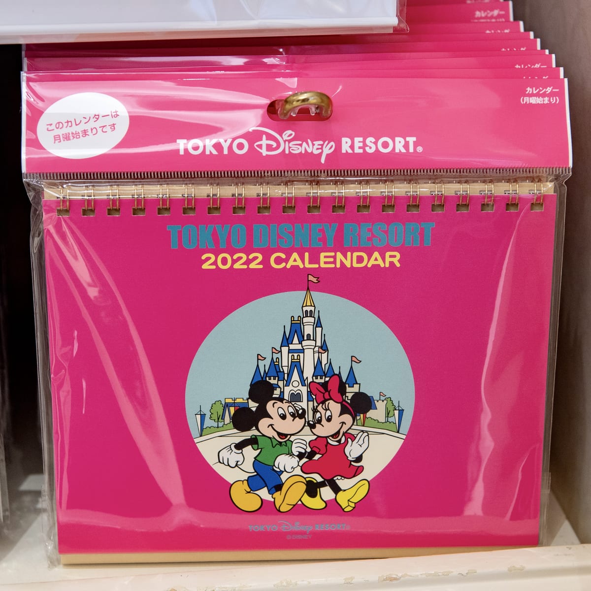 2022年用！東京ディズニーランド カレンダー＆スケジュール帳（手帳）・お土産
