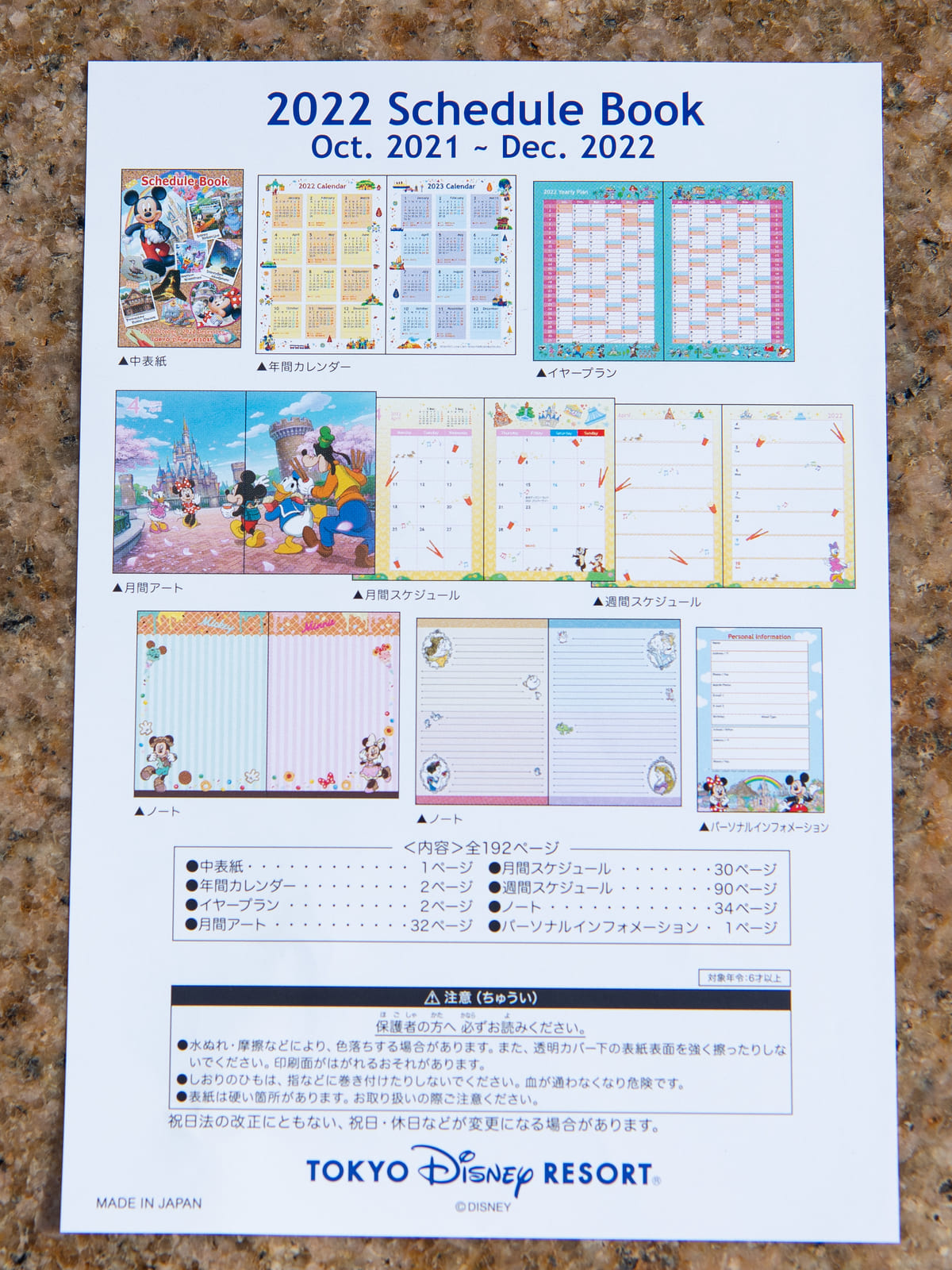 22年用 東京ディズニーランド カレンダー スケジュール帳 手帳 お土産