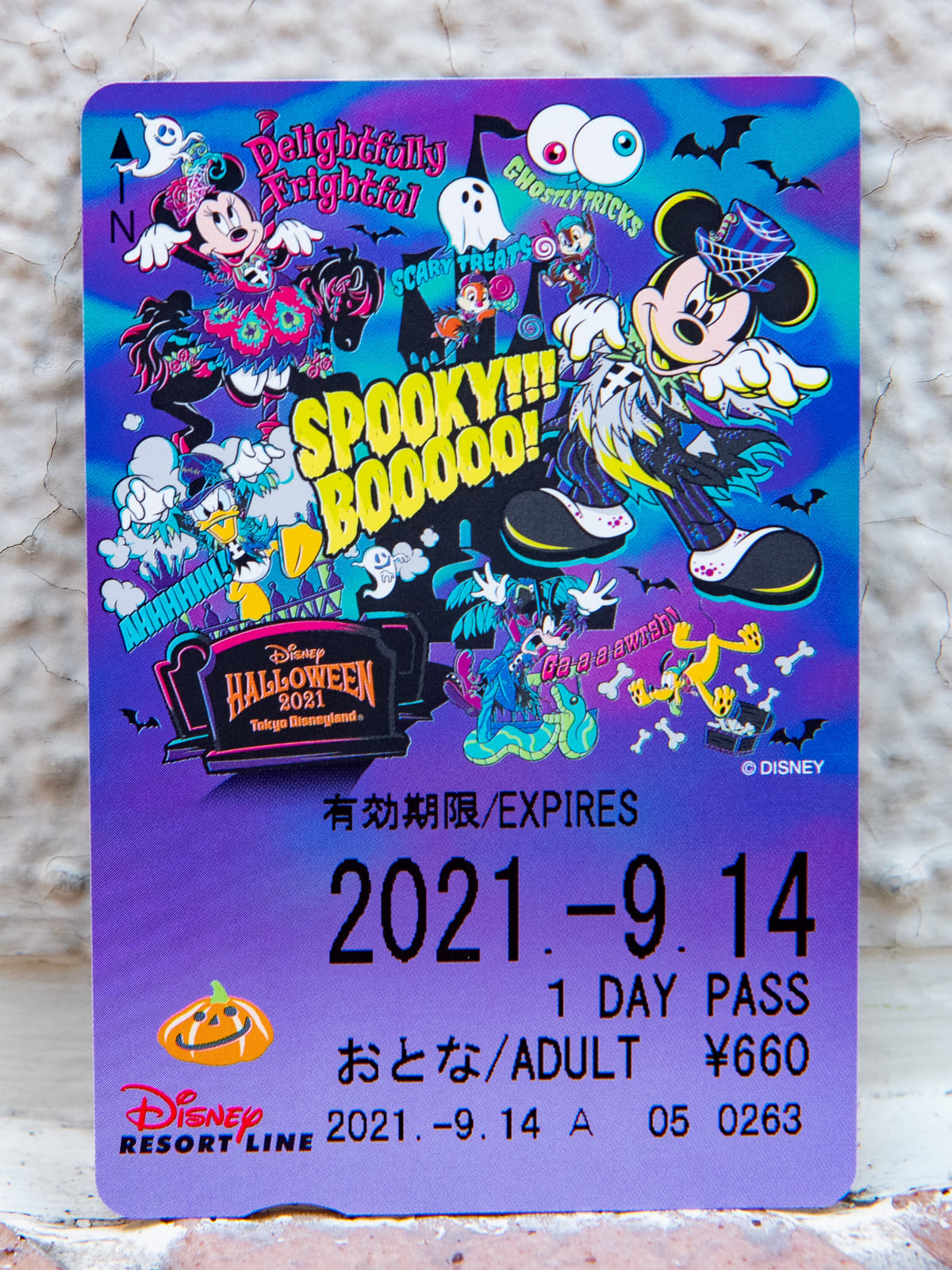 ディズニーリゾートライン”東京ディズニーリゾートのハロウィーン2021”フリーきっぷ　スプーキーBoo!パレード