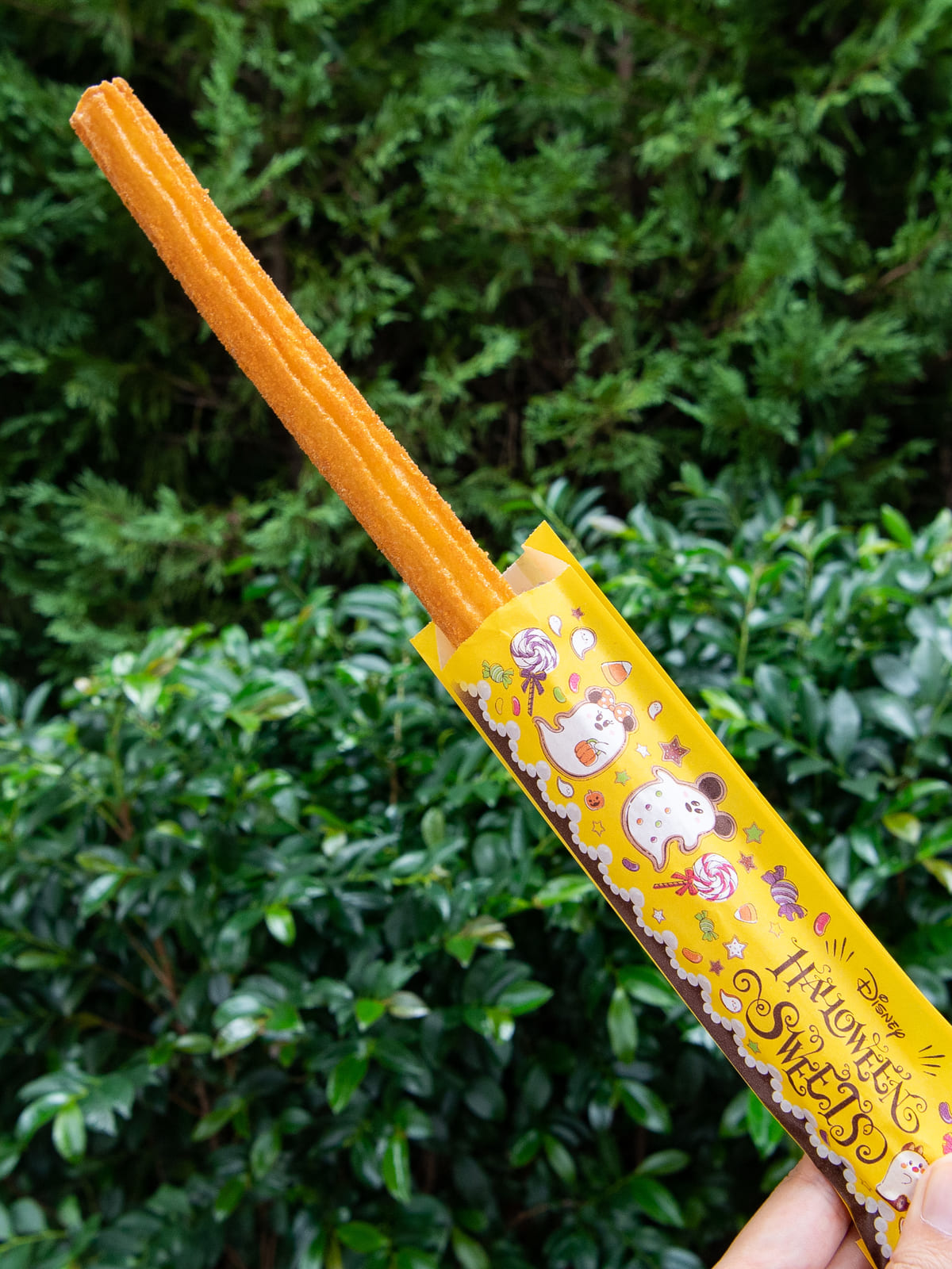 メイプルパンプキン味 東京ディズニーランド ディズニー ハロウィーン21 チュロス