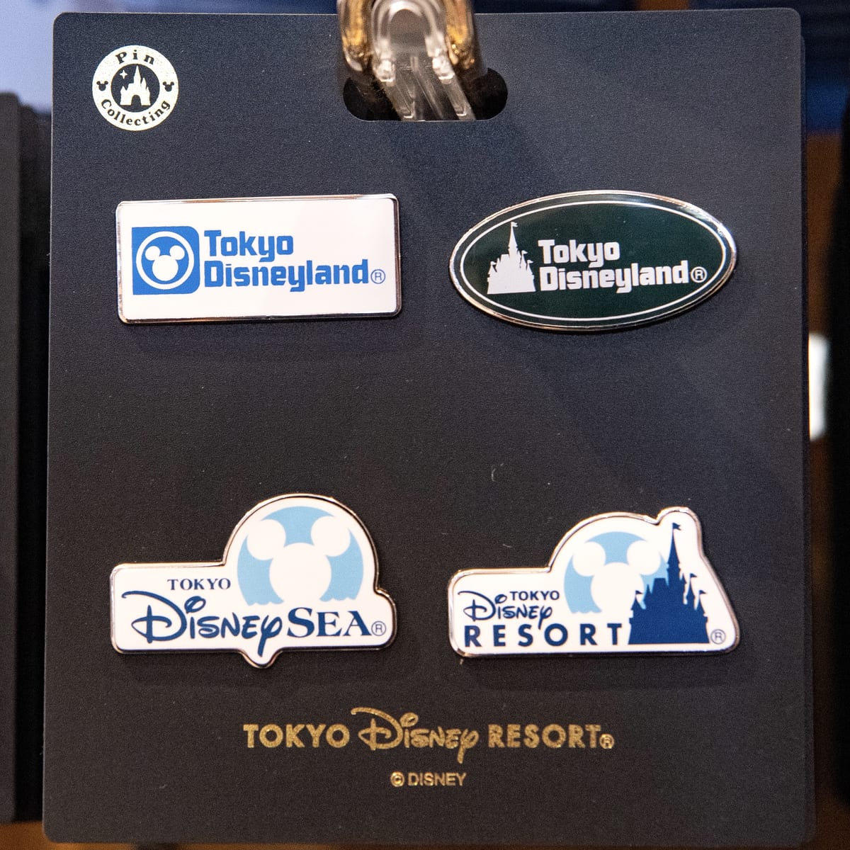 東京ディズニーリゾート ピンバッジセット