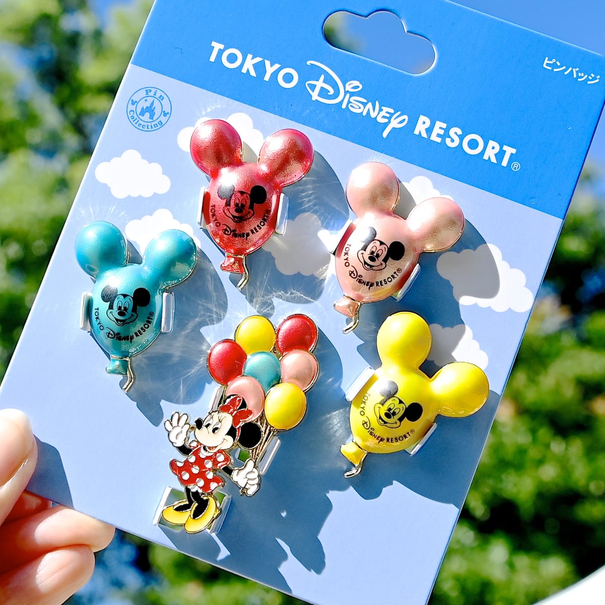 TDL ディズニーランド購入 ピンズセット ピンバッチ | mdh.com.sa