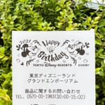 東京ディズニーランド「ミッキーマウス」&「ミニーマウス」お誕生日レシート2021