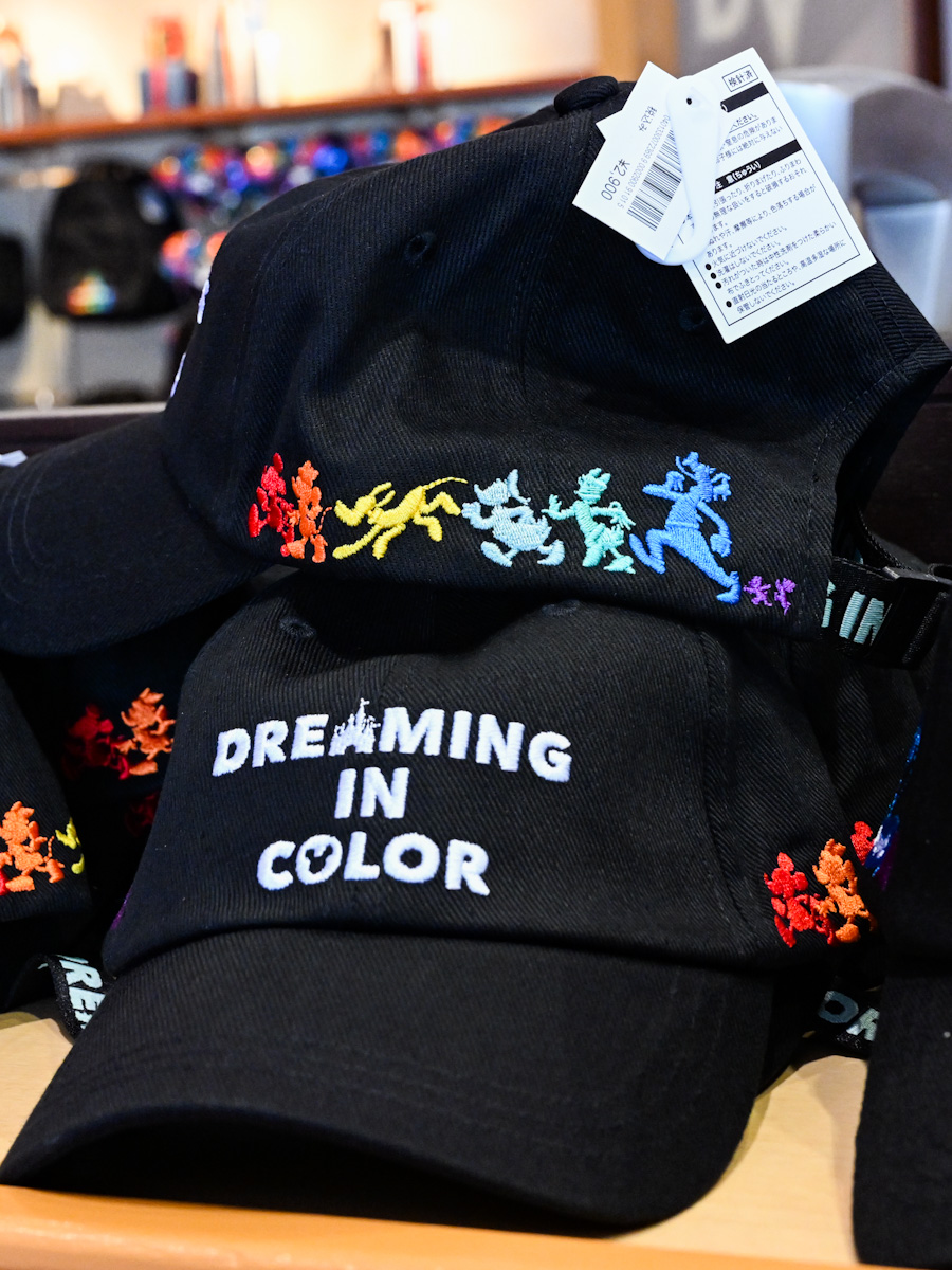 “Dreaming in Color”キャップ1