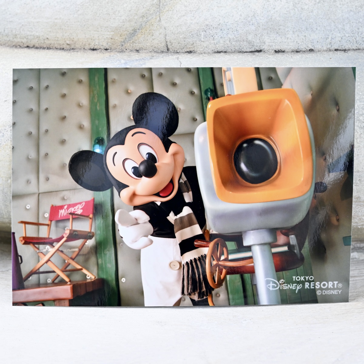 「ミッキーの家とミート・ミッキー」の『蒸気船ウィリー』ミッキーマウス