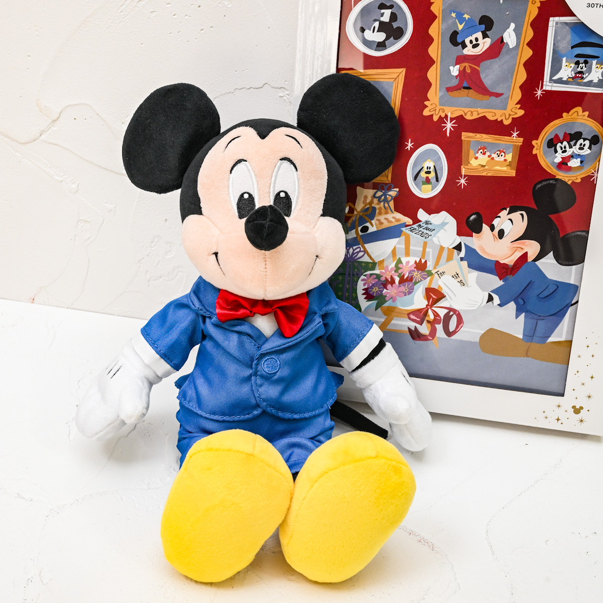 ミッキー ぬいぐるみ Disney Store Japan 30th Anniversary