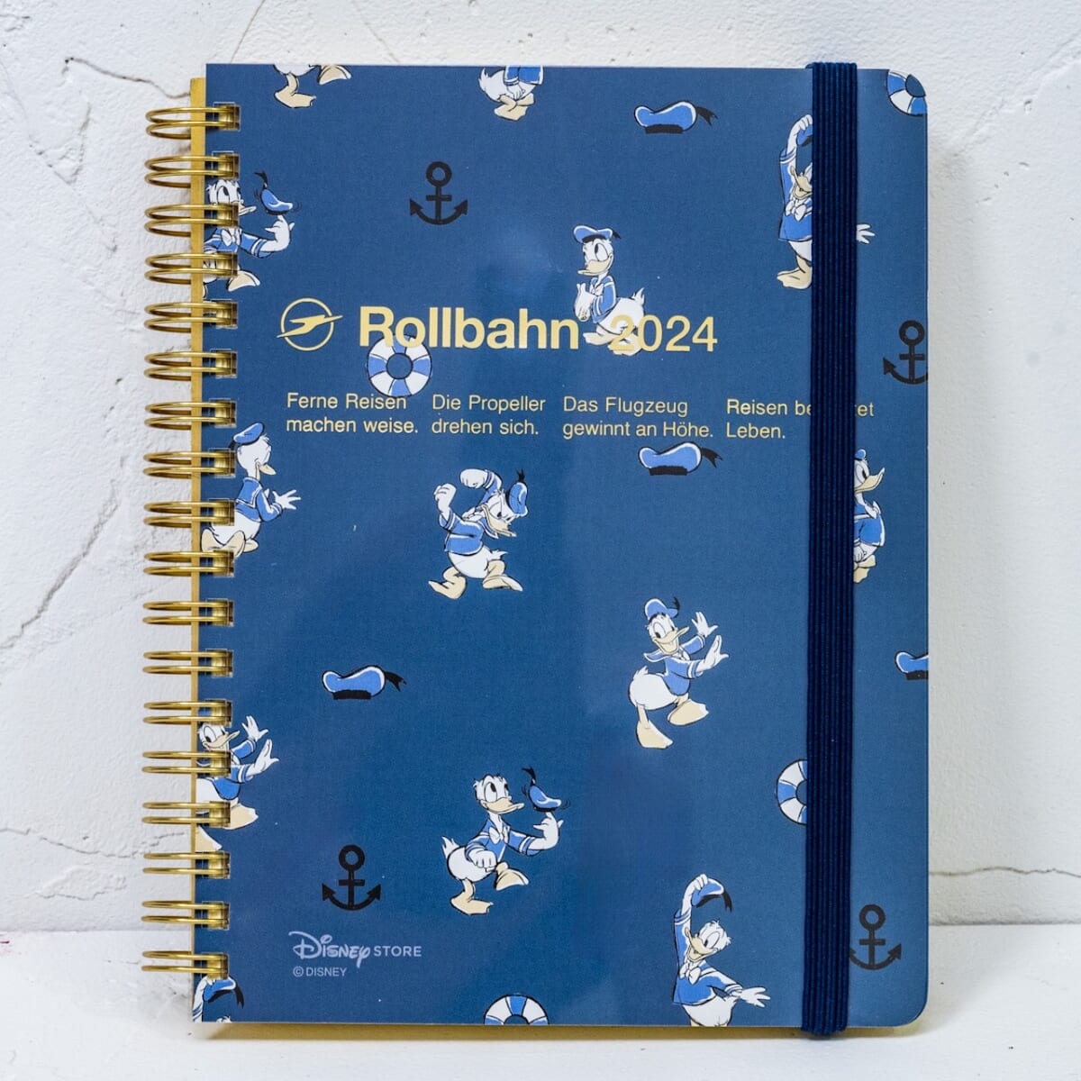 【デルフォニックス】ドナルド、チップ＆デール Rollbahn 手帳・スケジュール帳(L) Calendar＆Organizer 2024