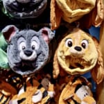 東京ディズニーランド レディとトランプファンキャップ