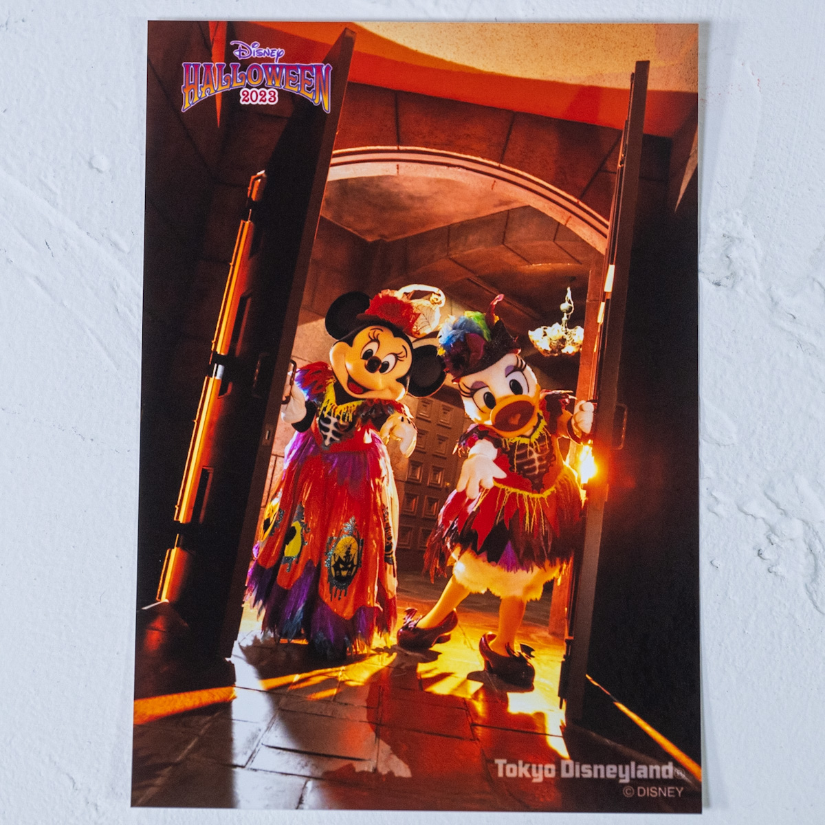 東京ディズニーランド『スプーキー"Boo！"パレード』2023写真セット　ミニーマウスとデイジーダック