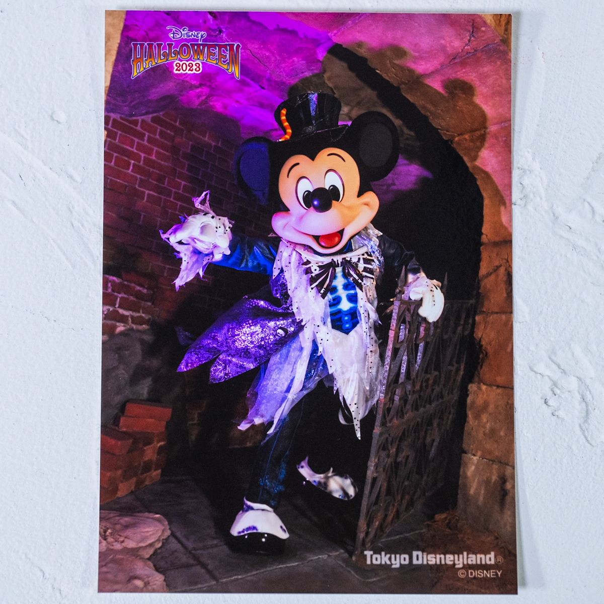東京ディズニーランド『スプーキー"Boo！"パレード』2023写真セット　ミッキーマウス