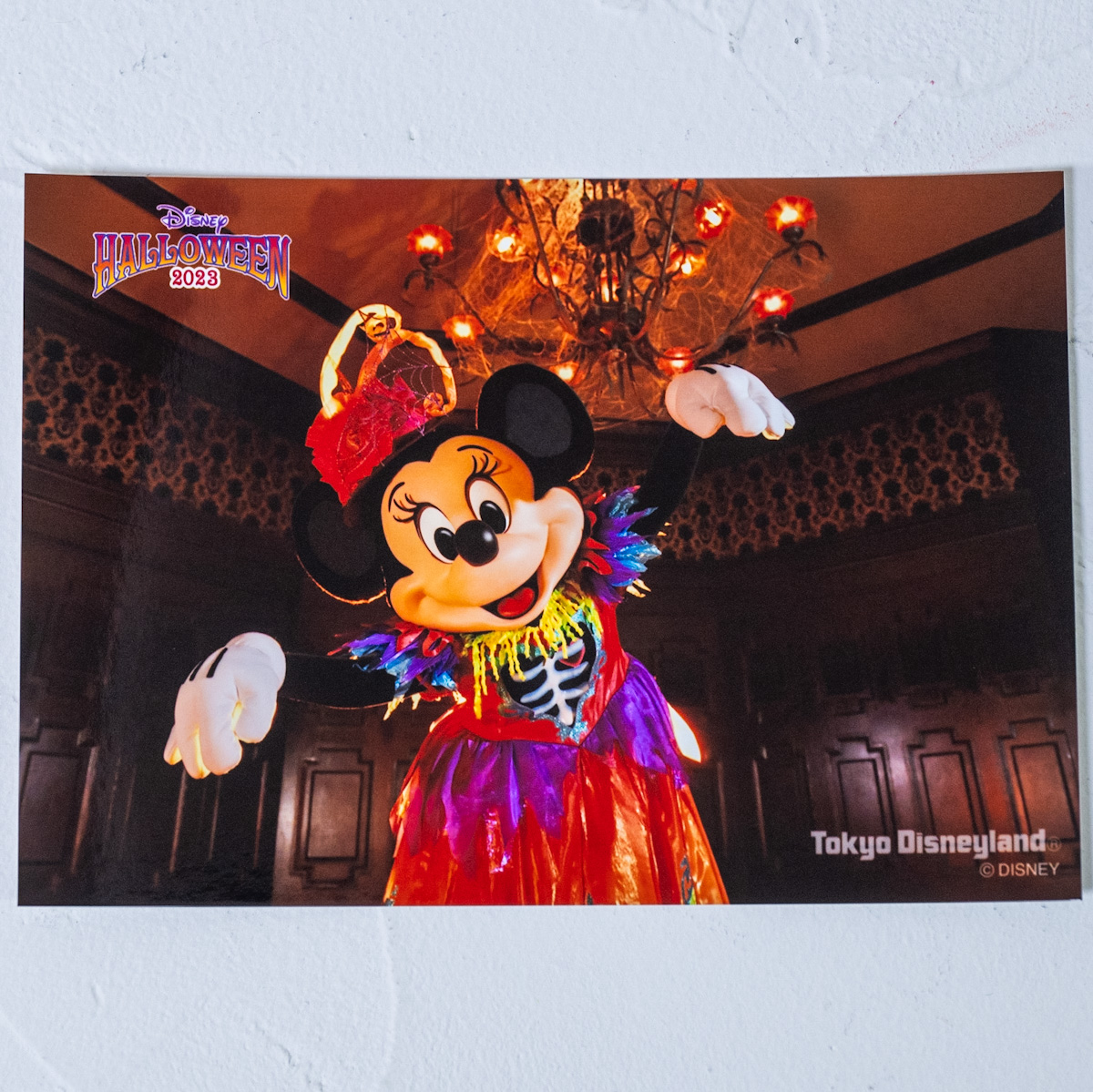 東京ディズニーランド『スプーキー"Boo！"パレード』2023写真セット　ミニーマウス