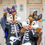 香港ディズニーランド・リゾート“ディズニー・ハロウィーン・タイム2024”「チップ&デール」キャラクターグリーティング　コスチューム