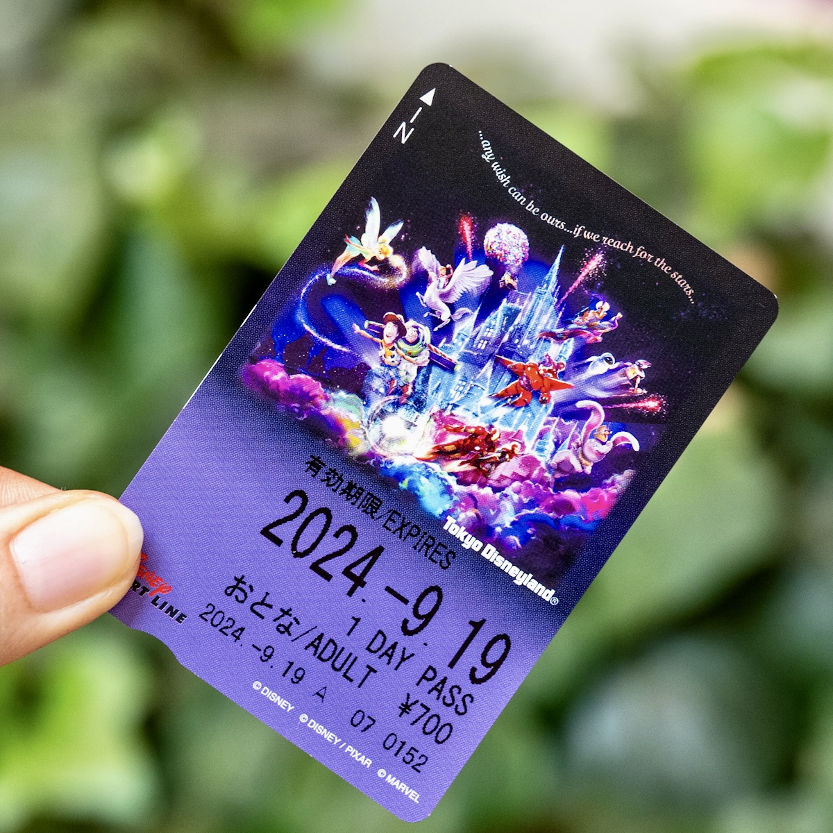 「ディズニーリゾートライン」東京ディズニーランド 新キャッスルプロジェクション「Reach for the Stars」フリーきっぷ2