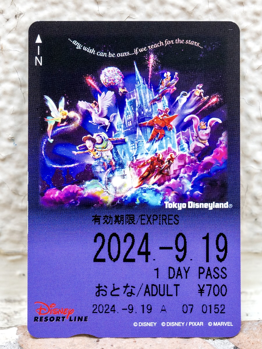 「ディズニーリゾートライン」東京ディズニーランド 新キャッスルプロジェクション「Reach for the Stars」フリーきっぷ1