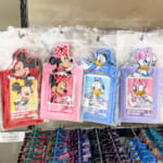 Disney THE MARKET in ジェイアール京都伊勢丹　ミキフレパスケース