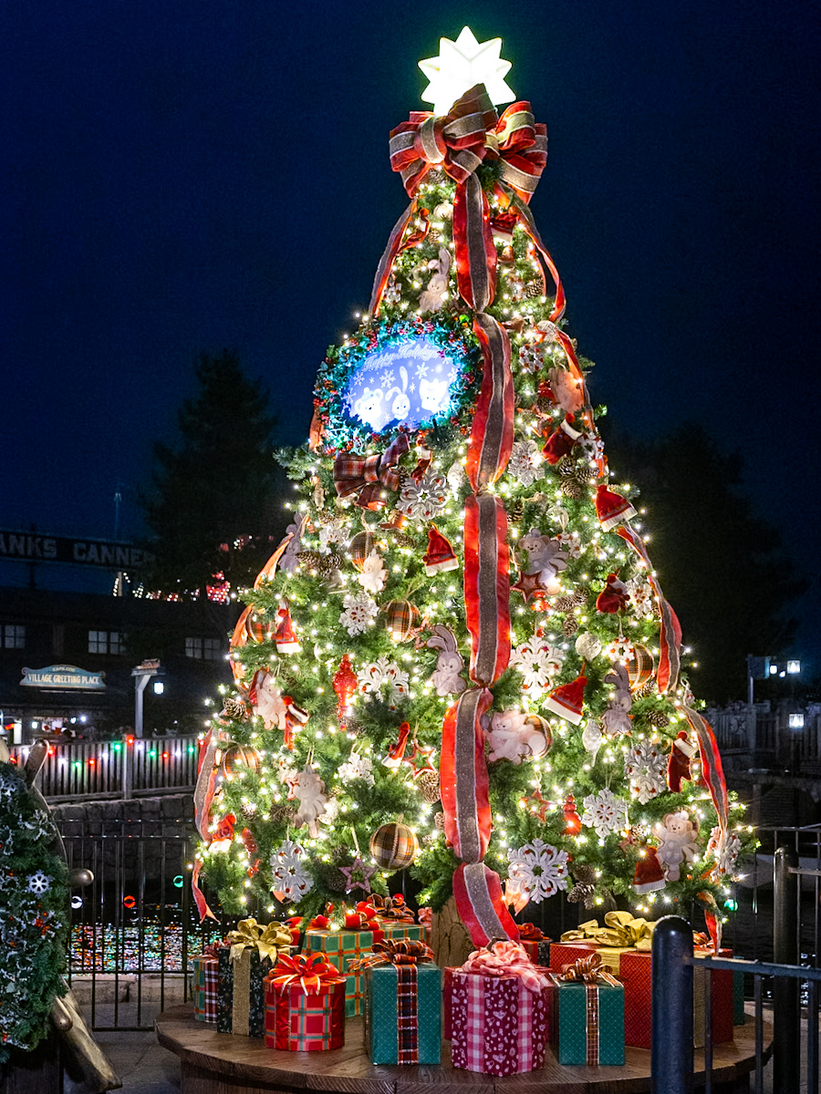 ケープコッド　2024クリスマスツリー　夜