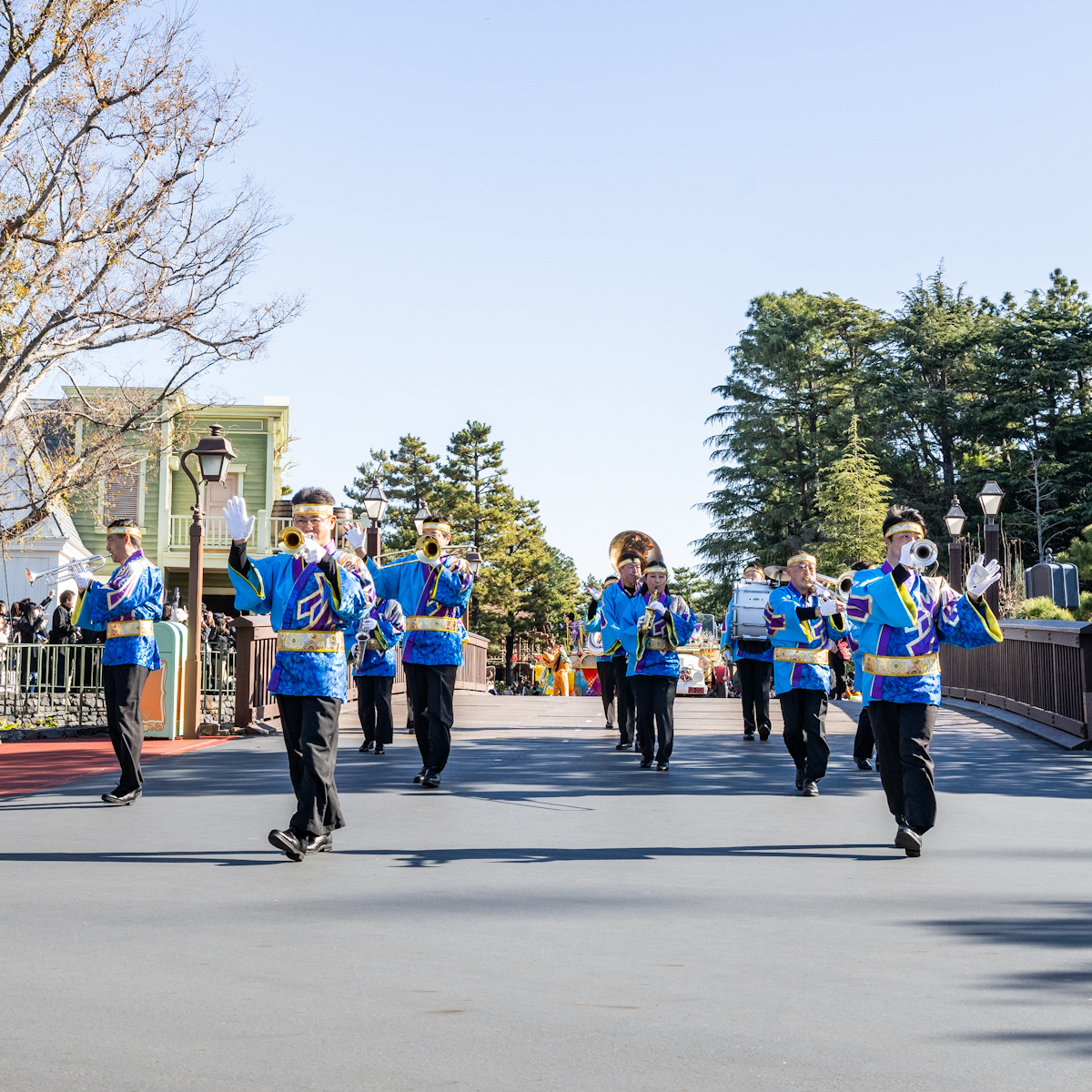 ディズニーランド・バンド