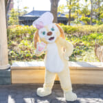 東京ディズニーシー“ダッフィー＆フレンズ・ワンダフルキッチン”「クッキー・アン」グリーティング