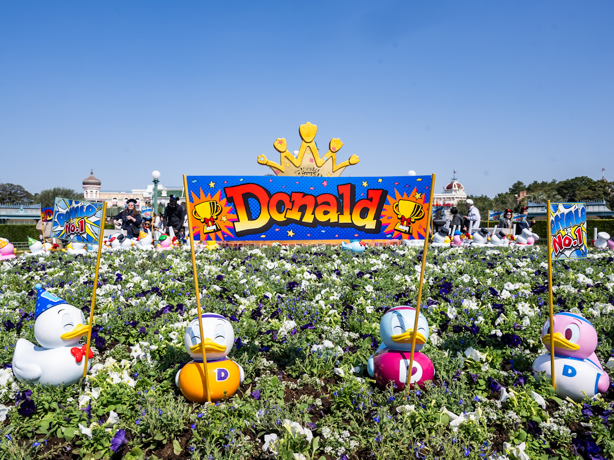 東京ディズニーランド「ディズニー・パルパルーザ”ドナルドのクワッキー・ダック！ダック！ダックシティ！”」デコレーション　プラザ中央花壇　クワッキーダック1