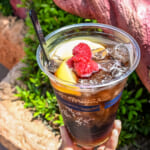 東京ディズニーランド トルバドールタバン『スパークリングカクテル（ウイスキー＆コカ・コーラ）』