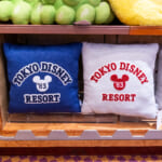 東京ディズニーリゾート クッション