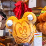 東京ディズニーリゾート「ショルダーバッグ ミッキー」