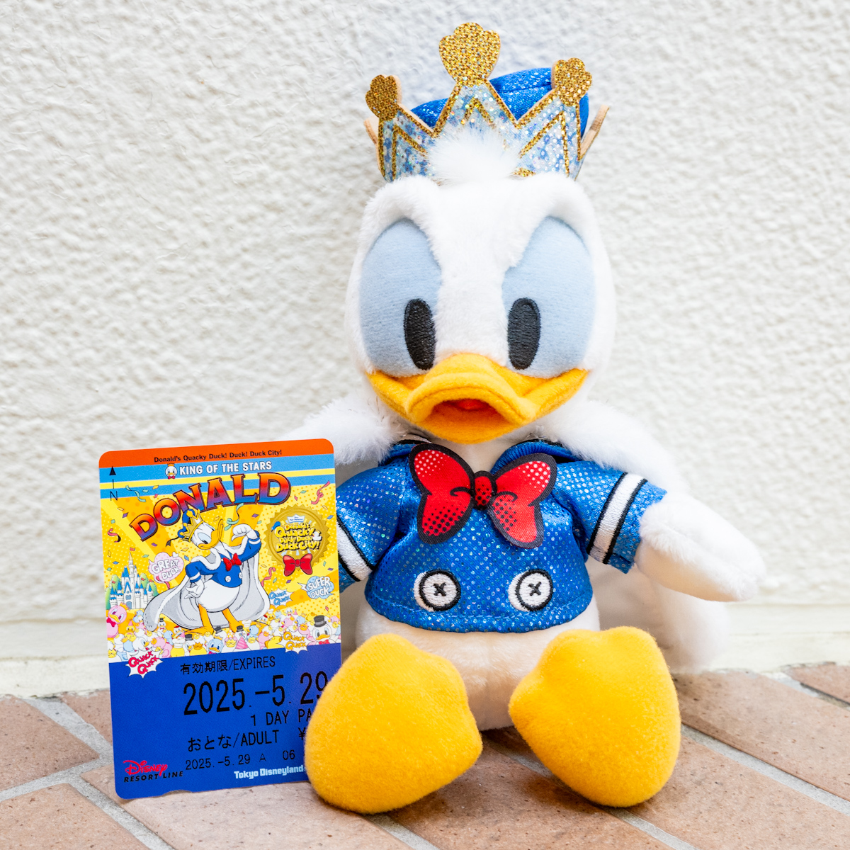 ディズニーリゾートライン「ドナルドのクワッキー・ダック!ダック!ダックシティ!」フリーきっぷ（お誕生日デザイン）