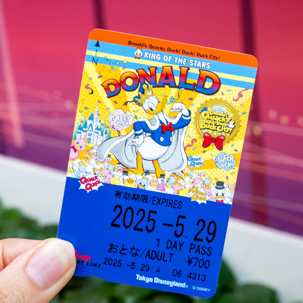 ディズニーリゾートライン「ドナルドのクワッキー・ダック!ダック!ダックシティ!」フリーきっぷ（お誕生日デザイン）3