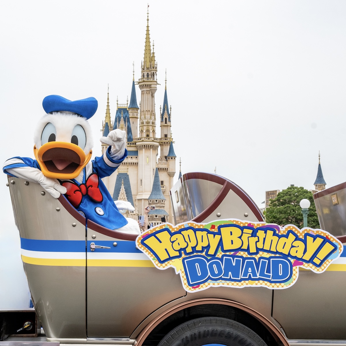 東京ディズニーランド「ハッピーバースデードナルド」ドナルドのバースデーグリーティング　ドナルドダック