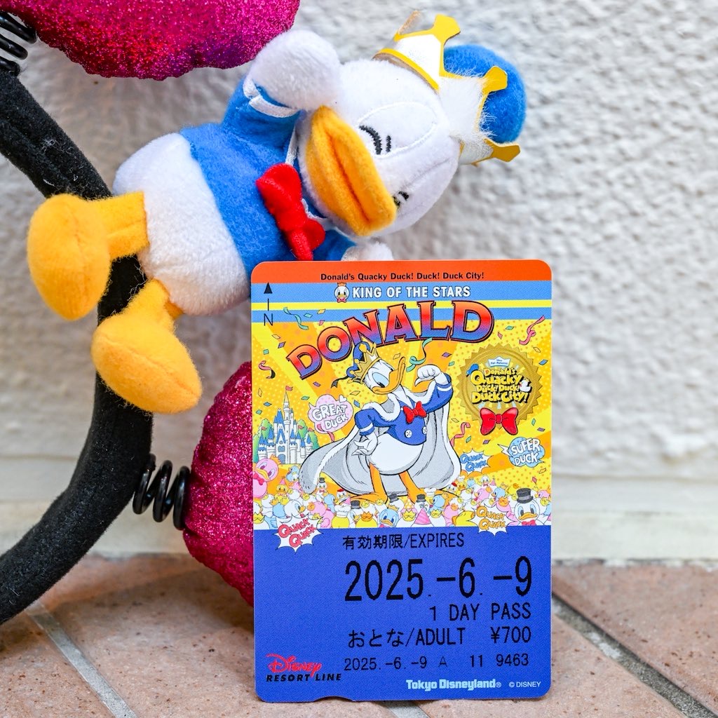 ドナルドお誕生日フリーきっぷ6月9日