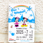 ディズニーリゾートライン 夏の東京ディズニーリゾートをイメージしたデザインのフリーきっぷ