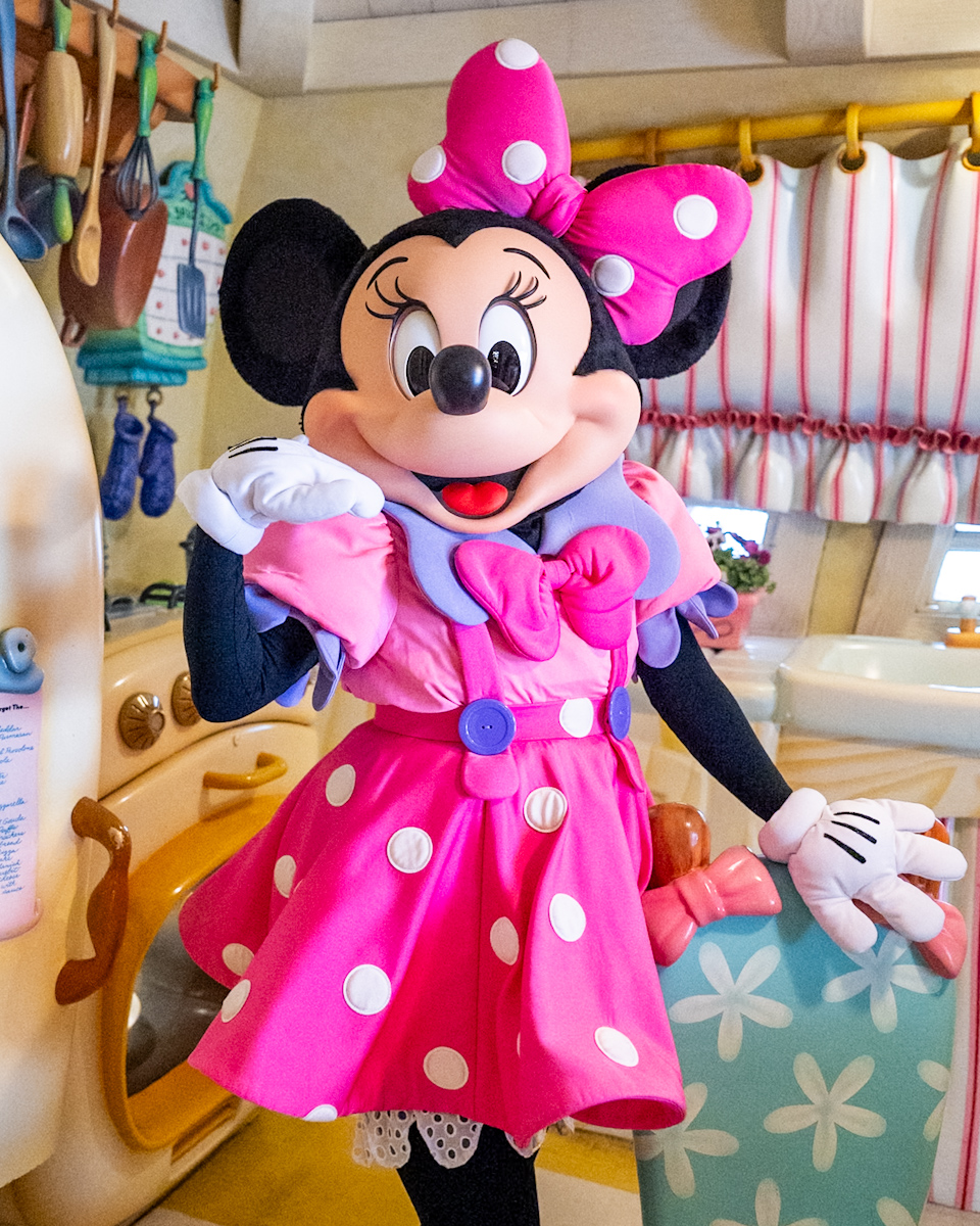 トゥーンタウンミニーマウス　ミニーの家グリーティング