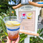 東京ディズニーランド「ザ・ガゼーボ」フルーティフィズ（ウォッカ＆レモンティー）