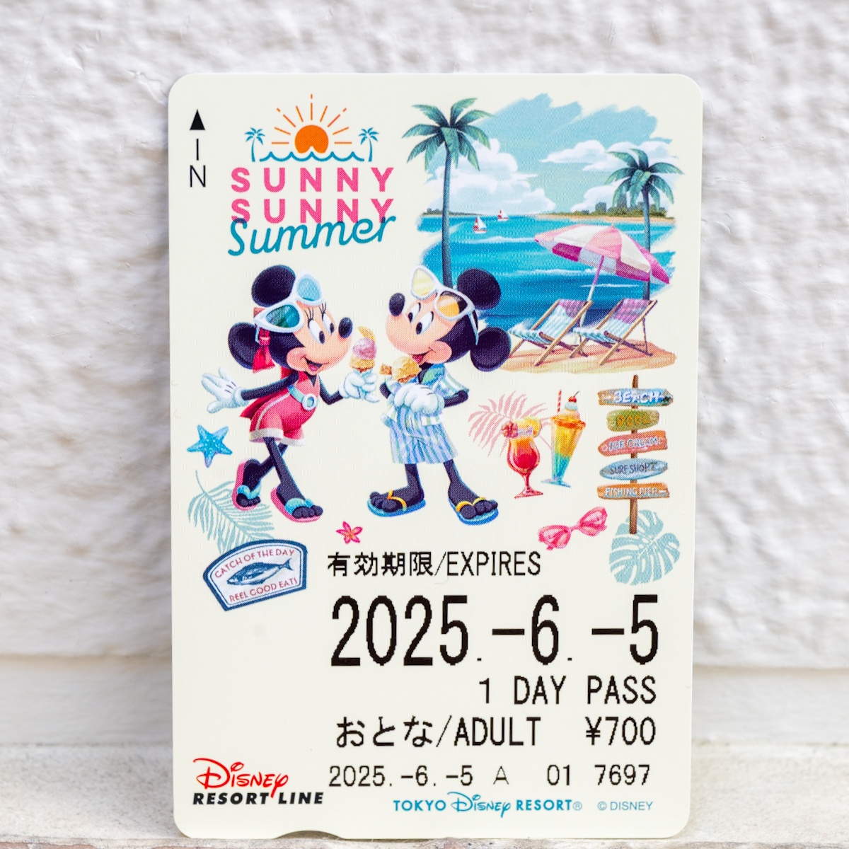 ディズニーリゾートライン「SUNNY SUNNY Summer」デザインのフリーきっぷ